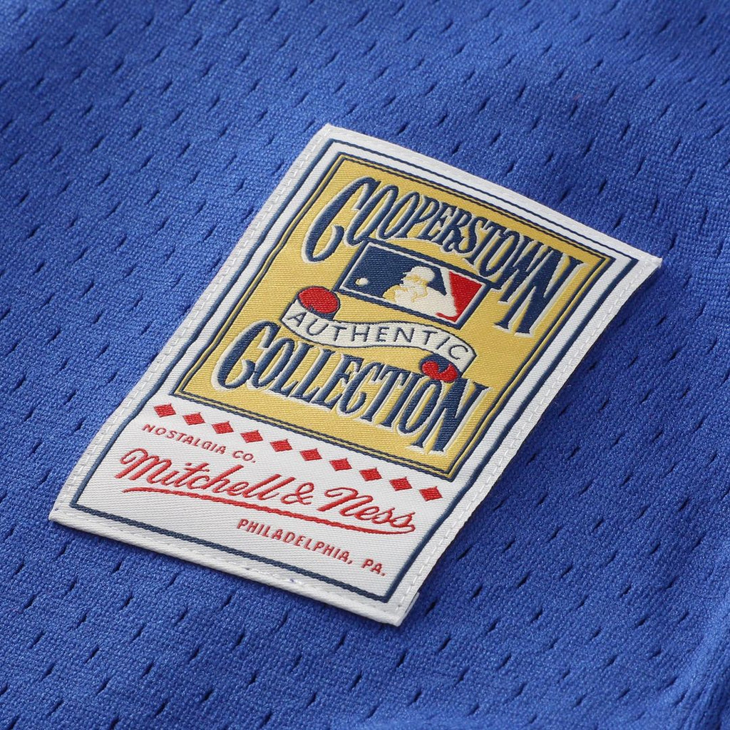 Lenny Dykstra New York Mets Mitchell & Ness Authentic Batting Practice Jersey - Royal | MLB Fan Gear