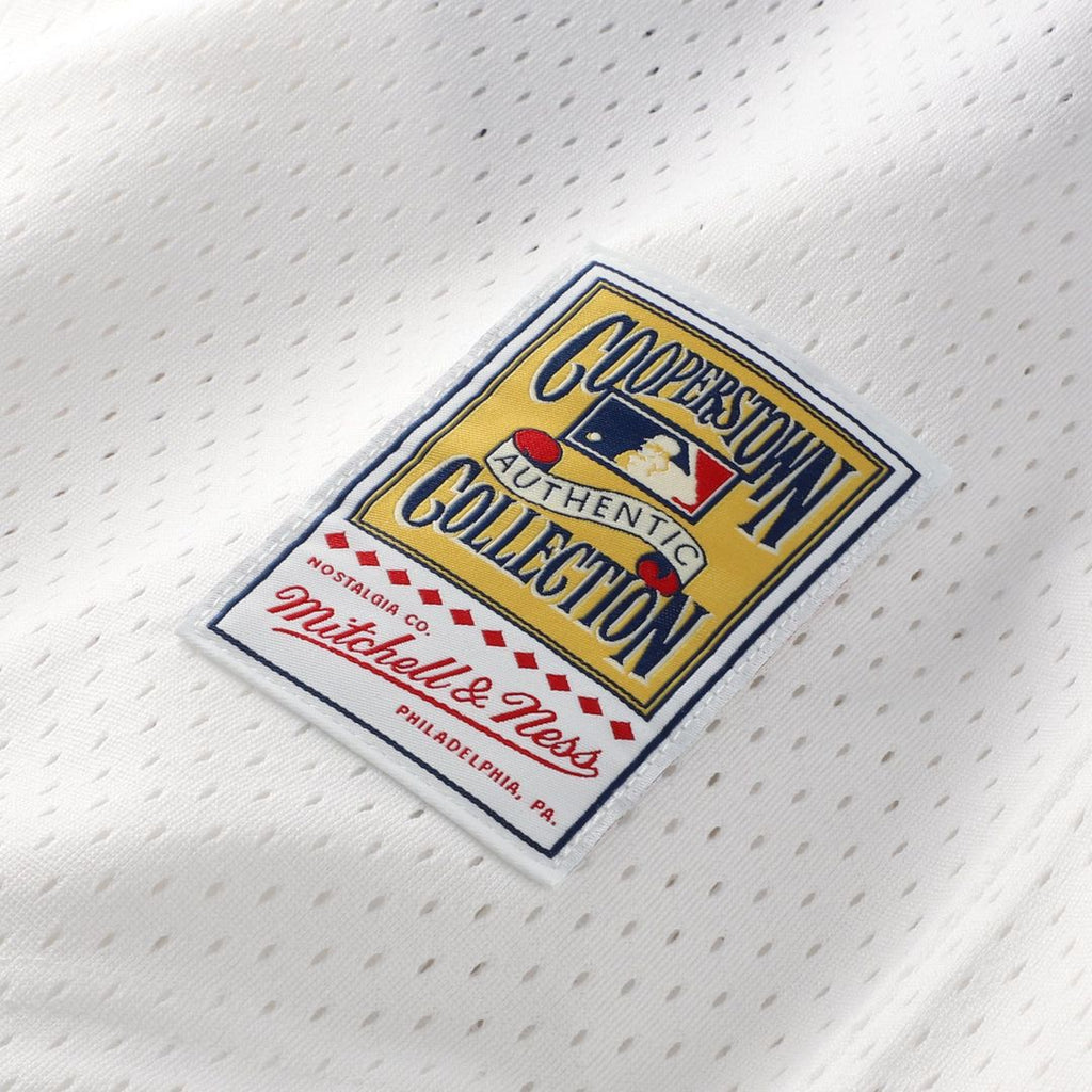 Carlton Fisk Chicago White Sox Mitchell & Ness Authentic Batting Practice Jersey - White | MLB Fan Gear