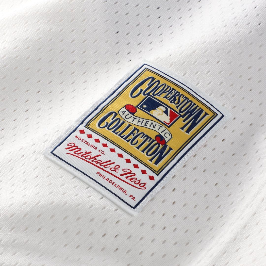 Carlton Fisk Chicago White Sox Mitchell & Ness Authentic Batting Practice Jersey - White | MLB Fan Gear