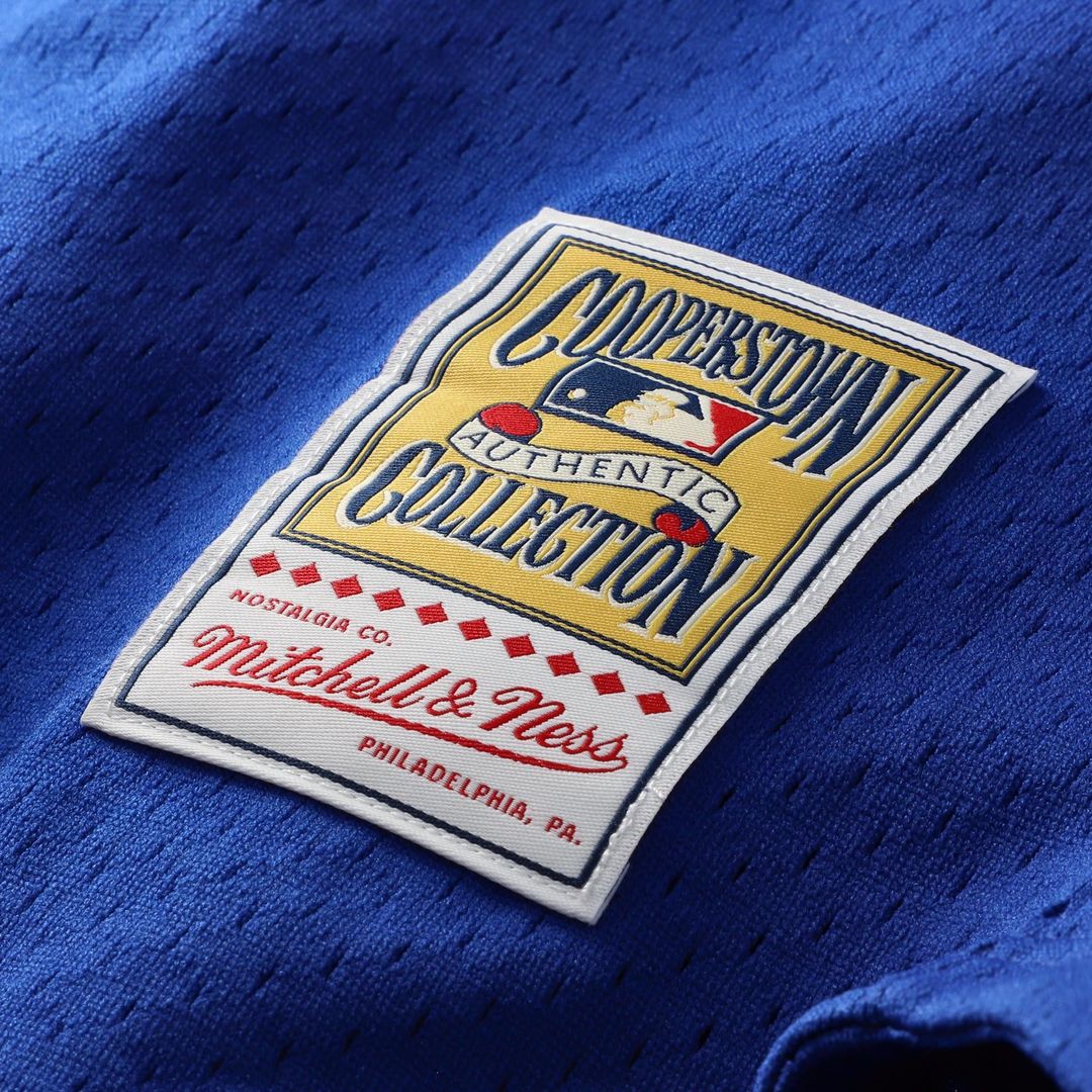 Mike Piazza Los Angeles Dodgers Mitchell & Ness Cooperstown Collection Mesh Batting Practice Button-Up Jersey - Royal | MLB Fan Gear