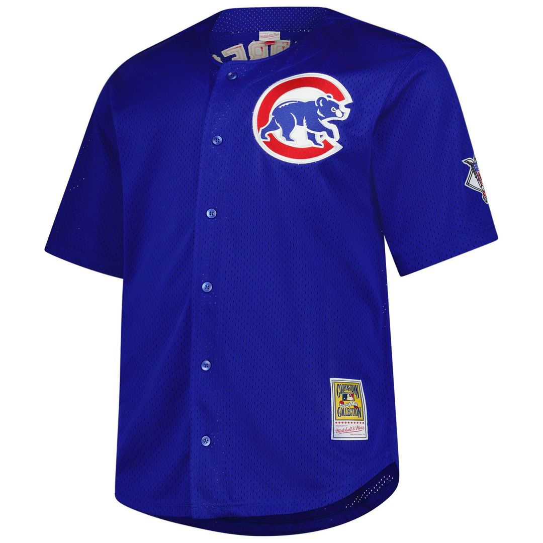 Ryne Sandberg Chicago Cubs Mitchell & Ness Big & Tall Cooperstown Mesh Batting Practice Jersey - Royal | MLB Fan Gear