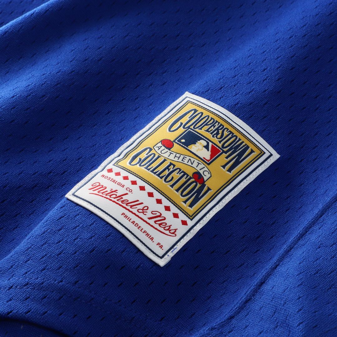 Dale Murphy Atlanta Braves Mitchell & Ness Authentic Batting Practice Jersey - Royal | MLB Fan Gear
