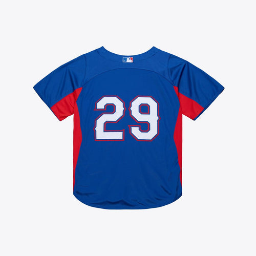 Adrian Beltre Texas Rangers Mitchell & Ness Cooperstown Mesh Batting Practice Button-Up Jersey - Royal | MLB Fan Gear