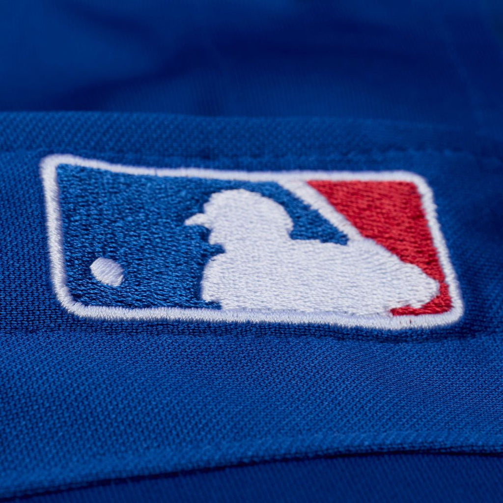 Adrian Beltre Texas Rangers Mitchell & Ness Cooperstown Mesh Batting Practice Button-Up Jersey - Royal | MLB Fan Gear
