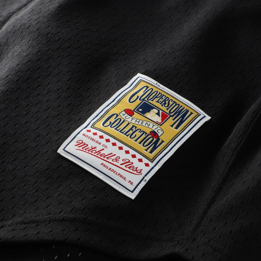 Randy Johnson Arizona Diamondbacks Mitchell & Ness Big & Tall Cooperstown Mesh Batting Practice Jersey - Black | MLB Fan Gear