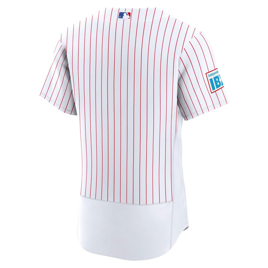 Philadelphia Phillies Nike Alternate Authentic Jersey - Light Blue | MLB Fan Gear