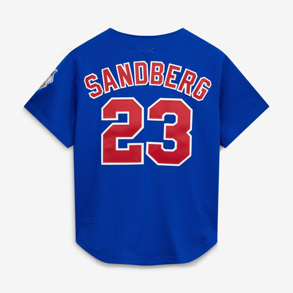 Ryne Sandberg Chicago Cubs Mitchell & Ness Cooperstown Collection 1997 Mesh Batting Practice Button-Up Jersey - Royal | MLB Fan Gear