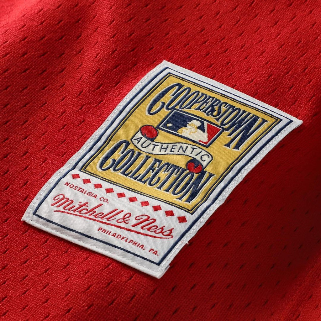 Johnny Bench Cincinnati Reds Mitchell & Ness Cooperstown Collection Big & Tall Mesh Batting Practice Jersey - Red | MLB Fan Gear