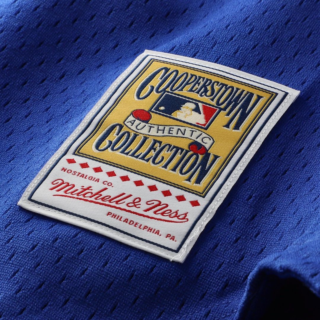Ryne Sandberg Chicago Cubs Mitchell & Ness Cooperstown Collection 1997 Mesh Batting Practice Button-Up Jersey - Royal | MLB Fan Gear