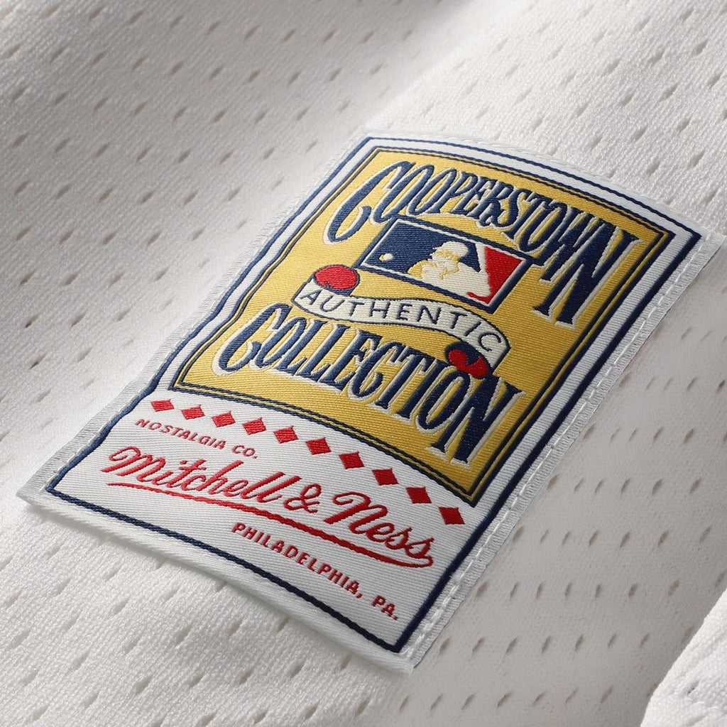Cal Ripken Jr. Baltimore Orioles Mitchell & Ness Authentic Batting Practice Jersey - Orange | MLB Fan Gear