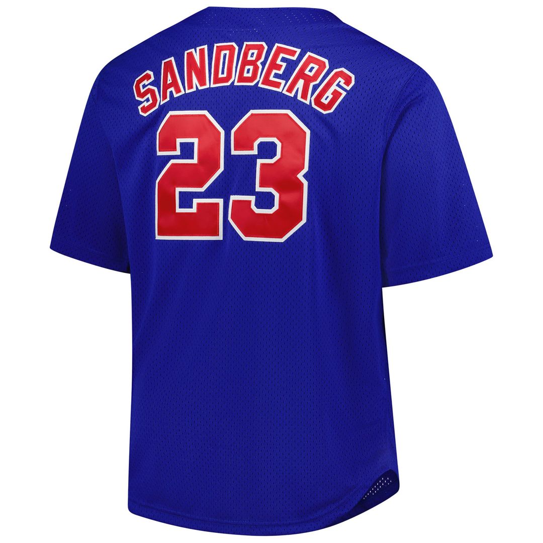 Ryne Sandberg Chicago Cubs Mitchell & Ness Big & Tall Cooperstown Mesh Batting Practice Jersey - Royal | MLB Fan Gear