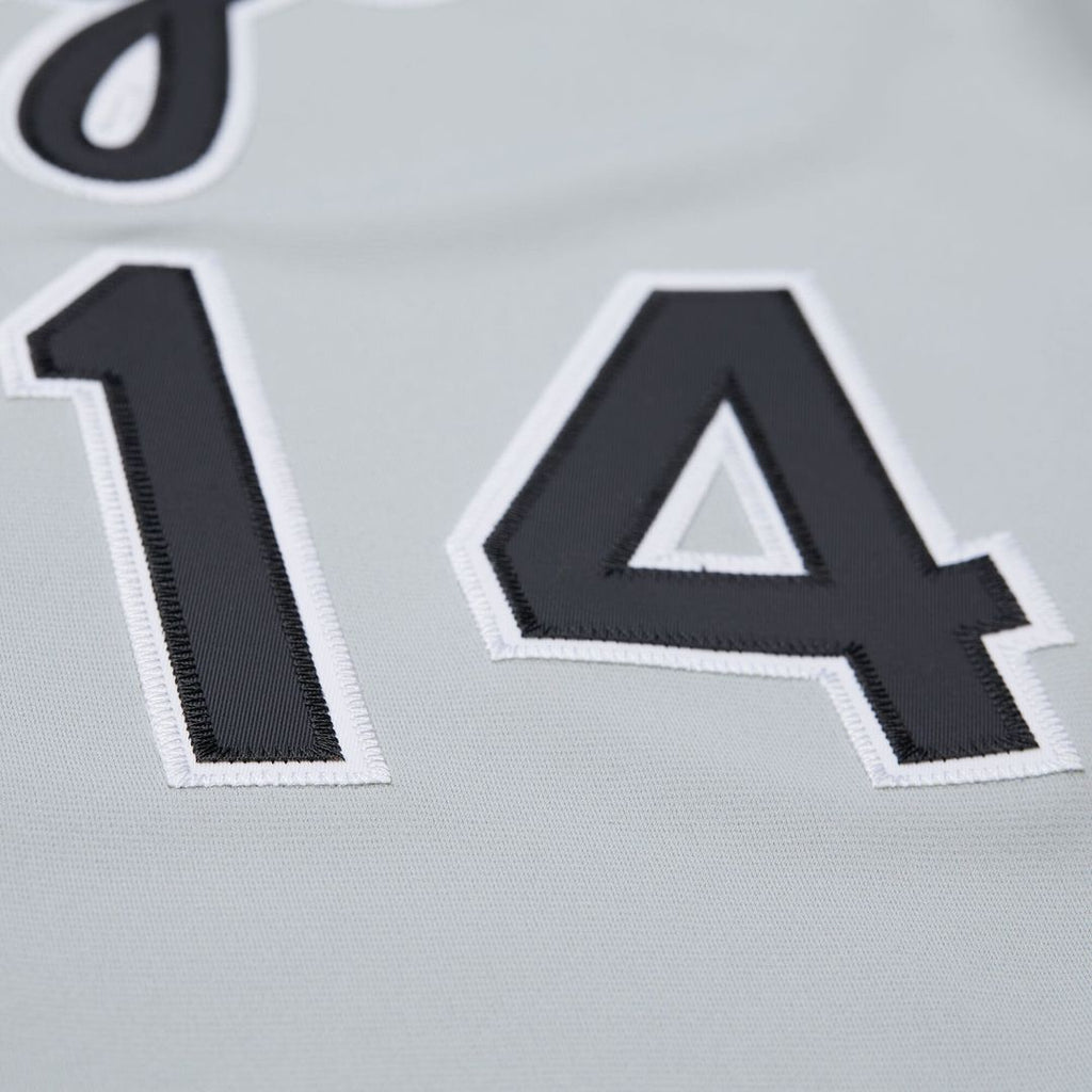 Paul Konerko Chicago White Sox Mitchell & Ness 2005 Cooperstown Collection Authentic Jersey - Gray | MLB Fan Gear