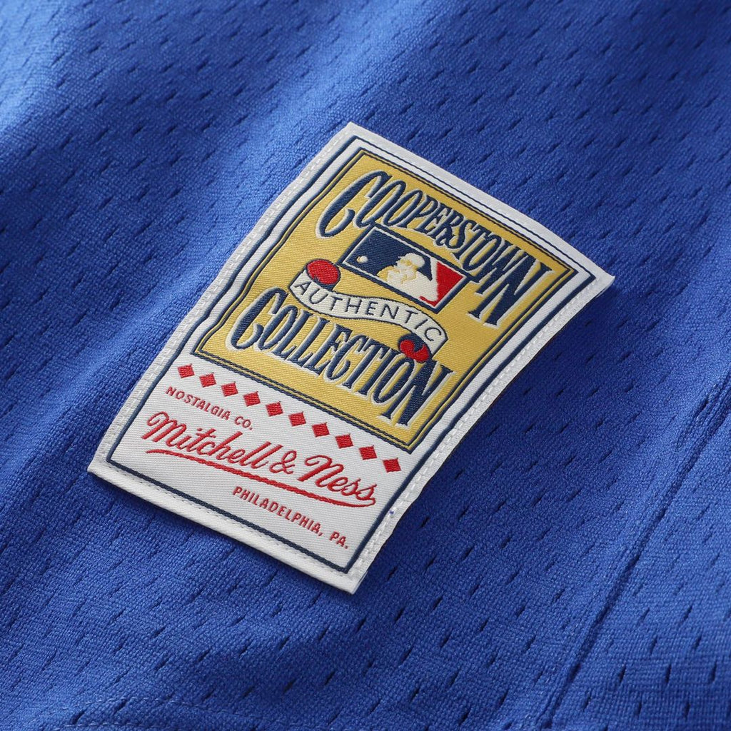 Nolan Ryan Texas Rangers Mitchell & Ness Big & Tall Cooperstown Mesh Batting Practice Jersey - Royal | MLB Fan Gear