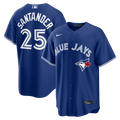 Anthony Santander Toronto Blue Jays Nike Alternate Replica Jersey - Royal | MLB Fan Gear