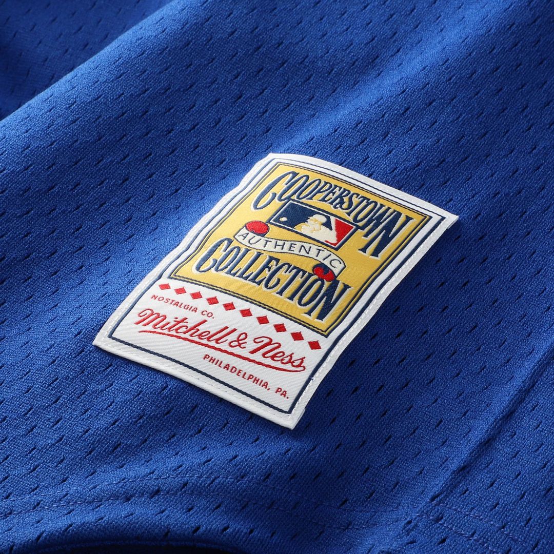Ken Griffey Jr. Seattle Mariners Mitchell & Ness Big & Tall Cooperstown Collection Mesh Batting Practice Jersey - Royal | MLB Fan Gear