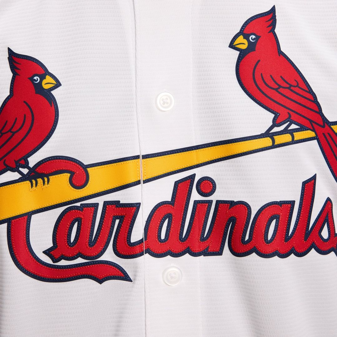 Masyn Winn St. Louis Cardinals Nike Alternate Replica Jersey - Light Blue | MLB Fan Gear