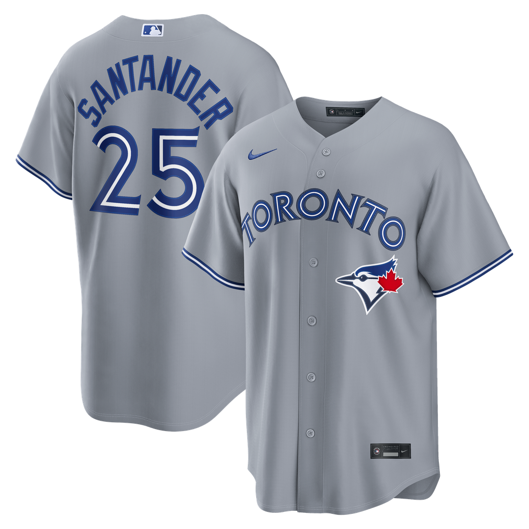 Anthony Santander Toronto Blue Jays Nike Alternate Replica Jersey - Light Blue | MLB Fan Gear