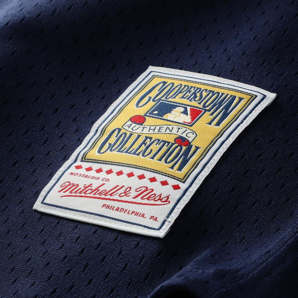 Carlton Fisk Chicago White Sox Mitchell & Ness Authentic Batting Practice Jersey - White | MLB Fan Gear