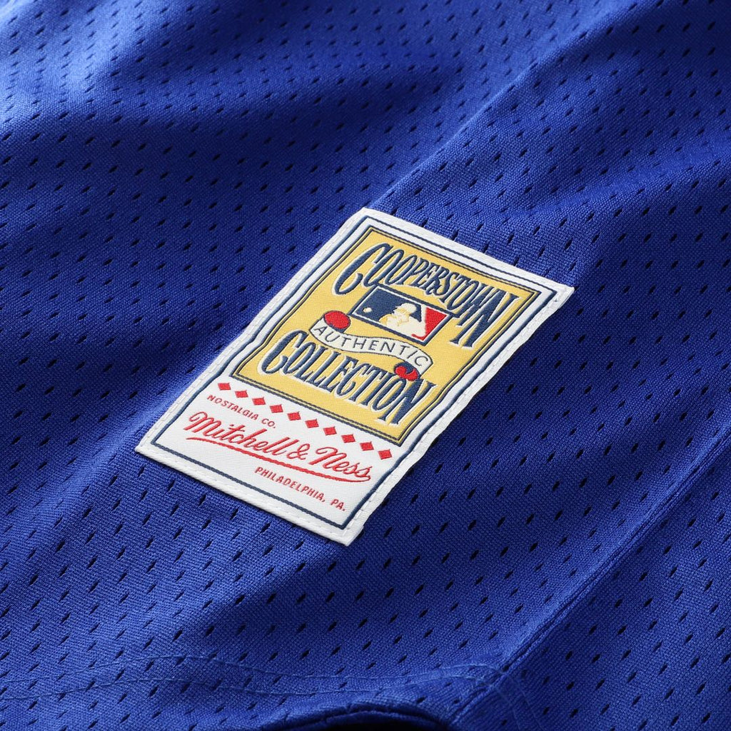 Bo Jackson Kansas City Royals Mitchell & Ness Cooperstown Collection Big & Tall Mesh Batting Practice Jersey - Royal | MLB Fan Gear