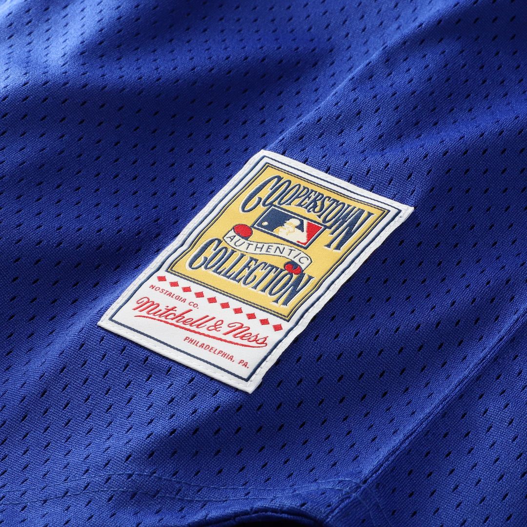 Bo Jackson Kansas City Royals Mitchell & Ness Cooperstown Collection Big & Tall Mesh Batting Practice Jersey - Royal | MLB Fan Gear