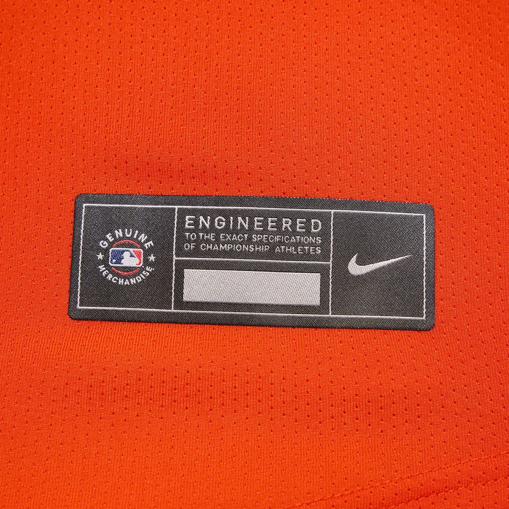 Adley Rutschman Baltimore Orioles Nike Road Limited Player Jersey - Gray | MLB Fan Gear