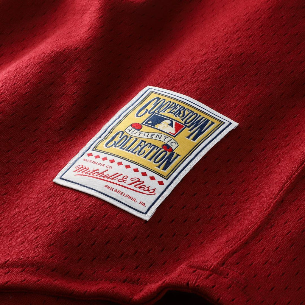 Darren Daulton Philadelphia Phillies Mitchell & Ness Authentic Batting Practice Jersey - Scarlet | MLB Fan Gear